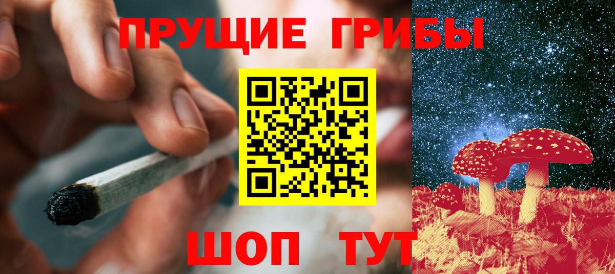 Галлюциногенные грибы Psilocybe  Вход с VPN  Октябрьский  Галлюциногенные грибы ЛСД 